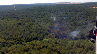 Gelibolu Yarımadası'nda orman yangını