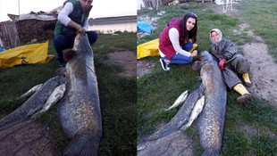 Gölette 2,5 metrelik yayın balığı yakaladı