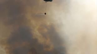 Hatayda orman yangını çıktı