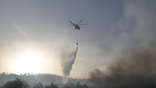 GÜNCELLEME - Hatay'da orman yangını
