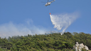 Hatay'da orman yangını