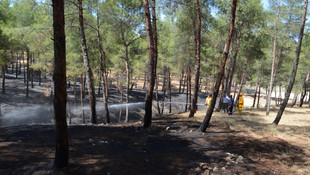 Hatay'da orman yangını