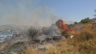 İnsan zinciri oluşturup yangını söndürdüler