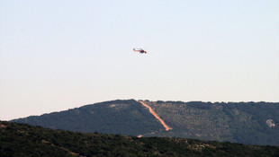 İstanbul'da ormanlık alanda yangın