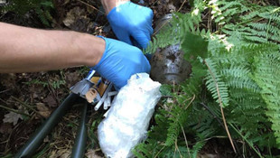 İstanbul'da terör örgütü operasyonu