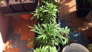 İstanbul'da uyuşturucu operasyonu