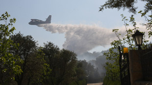 İzmir'de orman yangını