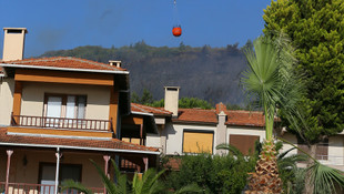 İzmir'de orman yangını