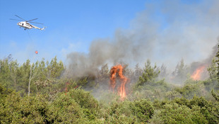 GÜNCELLEME - İzmir'de orman yangını