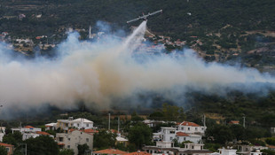 İzmir'de orman yangını