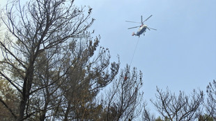 İzmir'de orman yangını