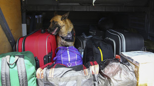 Jandarmadan başkentte sıkı denetim