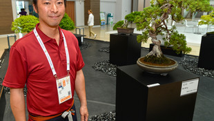 Japonların bonsai sergisi, EXPO'da