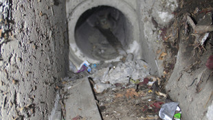 Kanalizasyonda mahsur kalan yavru kediyi itfaiye kurtardı