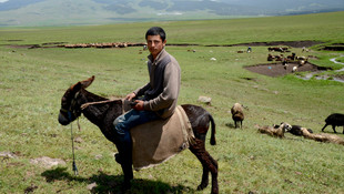 Kaval çalamayan çoban çareyi cepte buldu