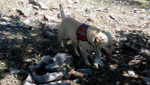 Kaybolan Suriyeli çocuk 10 saat sonra bulundu