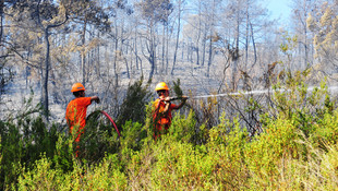 GÜNCELLEME - Kemer'de orman yangını