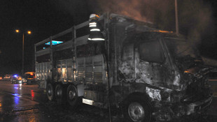 Kocaeli'de sebze yüklü kamyon yandı