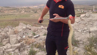 Konya'da eve giren yılanı itfaiye ekipleri yakaladı