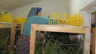 Kullanılmayan okul geçim kapısı oldu