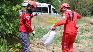 Kuyuya düşen yavru domuz kurtarıldı