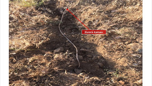 Lice'deki terör operasyonu