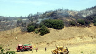 Manisa'da orman yangını