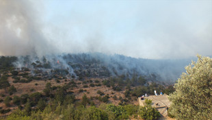 Mersin'deki orman yangını
