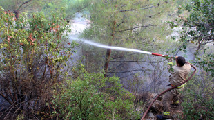 Mersin'de orman yangını
