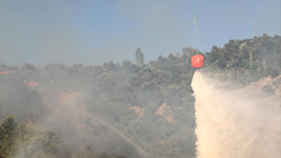 Muğla'da makilik alanda yangın