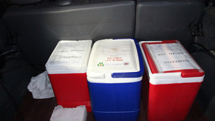 Organları 4 hastaya umut oldu