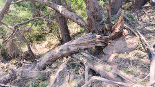 Osmaniye'de terör saldırısı