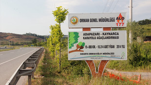 Sakarya'da 57 bin fidan toprakla buluştu