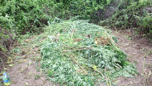 Samsun'da uyuşturucu operasyonu