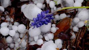 Sarıkamış’a ceviz büyüklüğünde dolu yağdı
