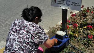 Sıcak havada sokak hayvanları da unutulmadı