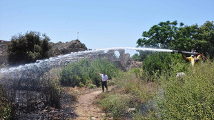 Side'de makilik alanda yangın