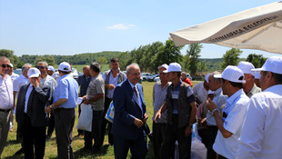 Tekirdağ'da Hasat Bayramı