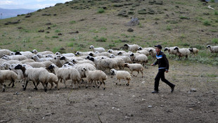 TEOG'daki başarısının sırrı kitap okumak