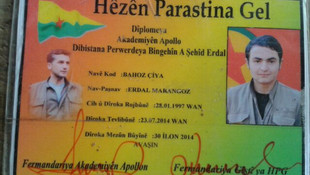 Terör operasyonları