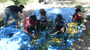 Terörden kaçıp Malatya'ya yerleşen aile yardım bekliyor