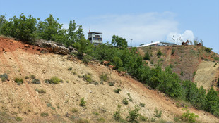 Tunceli'de yaban keçileri için karayolunda önlem