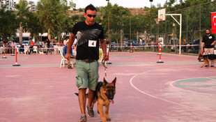 Ulusal Köpek Irk Standartları Yarışması