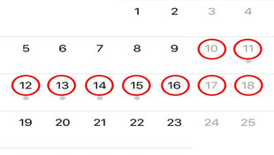 Kurban Bayramı tatili kaç gün olacak?