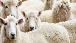 Kurban Bayramı tatili kaç gün olacak?