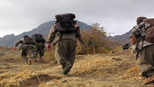 Vanda yapılan terör operasyonlarında 2 terörist etkisiz hale getirildi