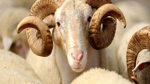 Kurban Bayramı tatili kaç gün?