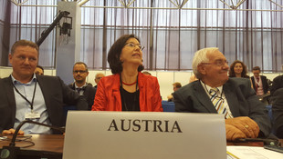 AGİT Parlamenterler Asamblesi 25. toplantısı