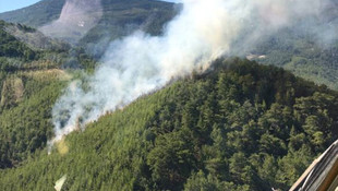 Alanya'da orman yangını