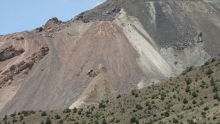 Artvin'de kamyon uçuruma yuvarlandı: 1 ölü
